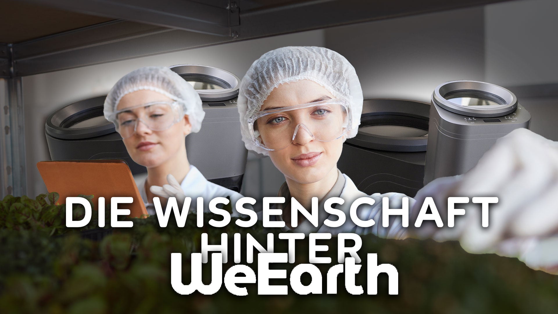 Wie funktioniert ein elektrischer Komposter?