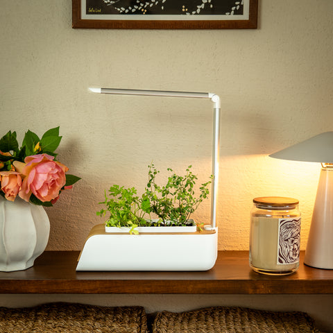 Eco Smart Garten für Zuhause