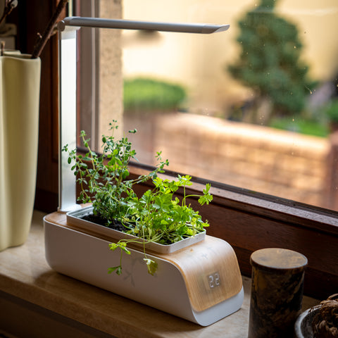 Eco Smart Garten für Zuhause