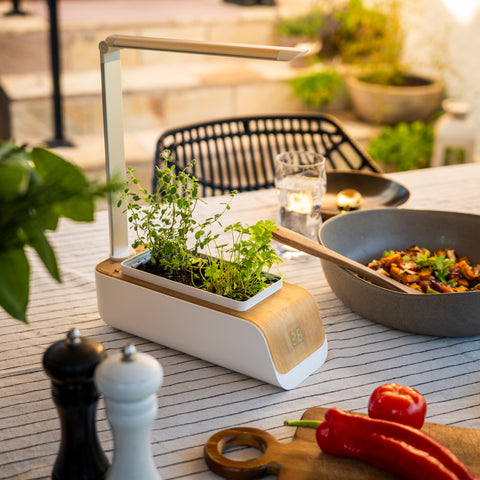 Eco Smart Garten für Zuhause