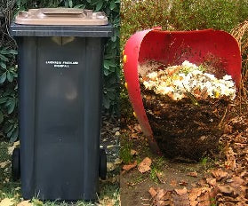 Section Image
